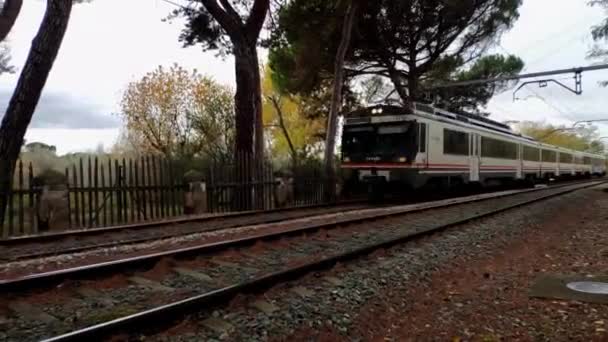 乗客列車が途中で停車する — ストック動画