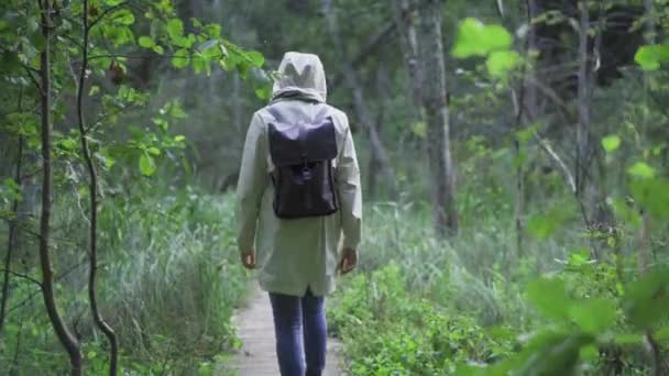 Person Remote Wild Location Woods Surrounded Green Plants Reeds Bushes — Vídeo de Stock