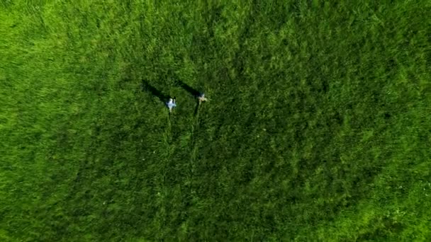 夏の昼間に2人の漁師が緑の牧草地を歩いているのを見ることができます カメラが飛んでいると上からの友人に従うビュー — ストック動画