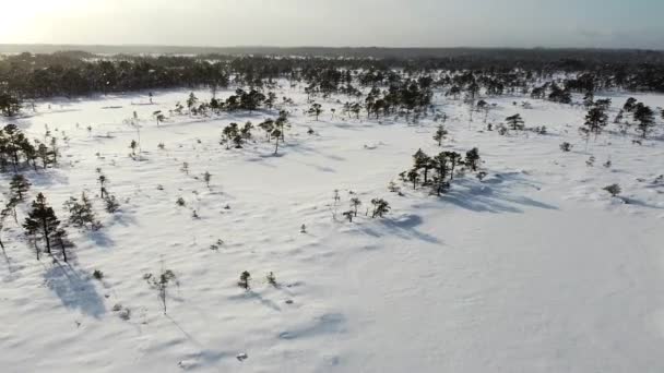 在冬季下雪的时候 神奇的空中无人机可以看到冰雪覆盖的沼泽景观 记录在爱沙尼亚Soomaa的Valgeraba — 图库视频影像
