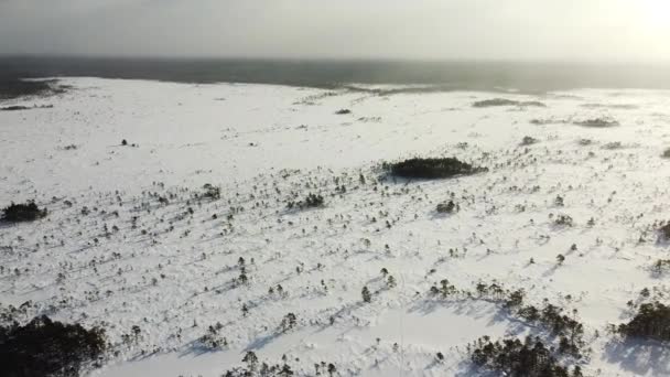 在阳光明媚的冬日 空中无人驾驶飞机俯瞰着积雪覆盖的沼泽地 记录在爱沙尼亚Soomaa的Valgeraba — 图库视频影像