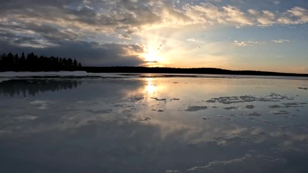 冬季湖畔壮观的金色时辰落日 — 图库视频影像