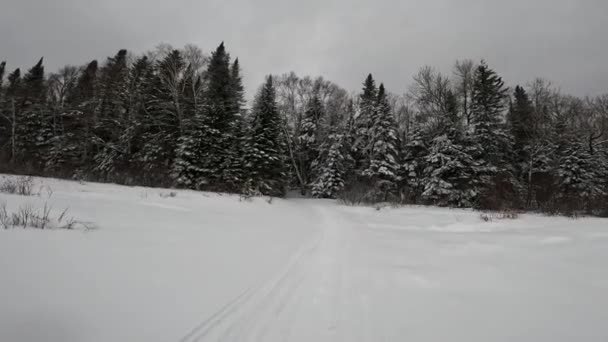 Pov Driving Snowy Landscape Wooded Trail — Wideo stockowe