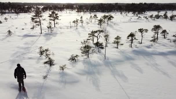 在空中看到一个独行侠穿着雪鞋站在被雪覆盖的沼泽地里 记录在爱沙尼亚Soomaa的Valgeraba — 图库视频影像
