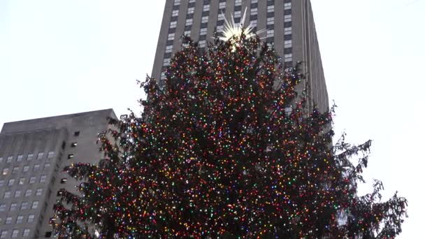 Rockefeller Centrum Kerstboom New York — Stockvideo