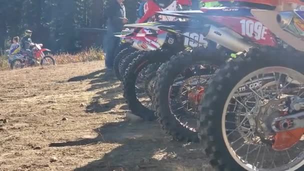 Dirt Bike Riders Line Get Ready Start Race — Stok video