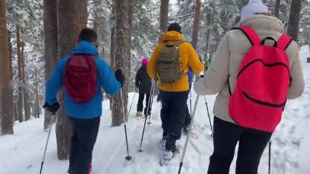 Guided Snowshoes Hikers Group Snowy Sierra Guadarrama Mountain Forest — стокове відео