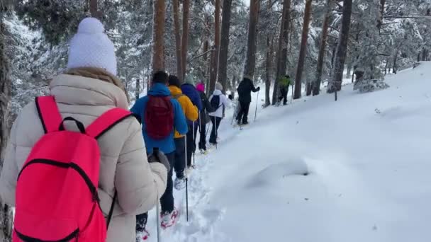 Guía Excursiones Raquetas Nieve Líneas Líderes Excursionistas Bosque Nevado — Vídeos de Stock