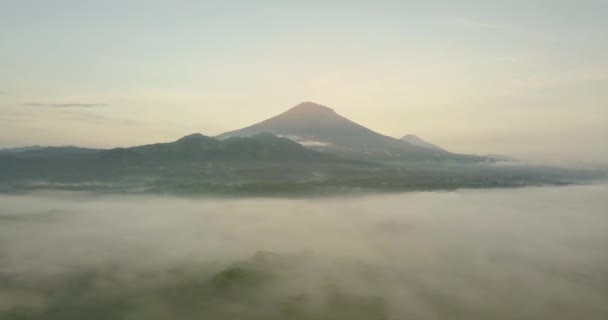 Mystieke Voorwaartse Vlucht Tropisch Landschap Bedekt Met Mist Tijdens Zonnige — Stockvideo