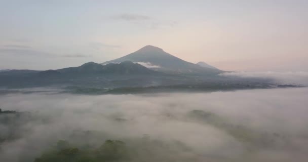 Mystic Aerial Volo Avanti Sul Paesaggio Tropicale Coperto Nebbia Durante — Video Stock