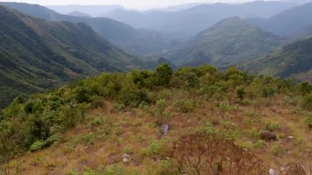 Mountain Valley Covered Green Forests Mists Morning Flat Angle — Stock Video