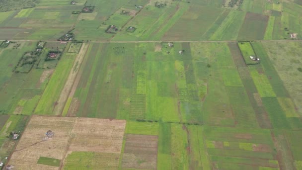 Panorama Aéreo Paisagem Rural Africana Das Terras Agrícolas Verdes Loitokitok — Vídeo de Stock