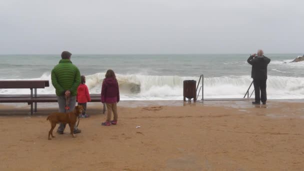 海岸で嵐や波がクラッシュするのを見て後ろからの人々 — ストック動画