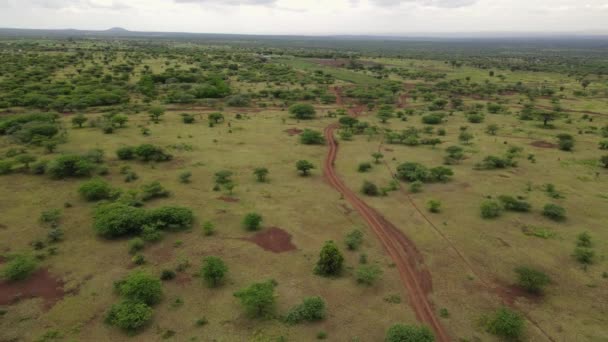 Savanna Dirt Road Idyllic African Landscape Kilimanjaro Distance Kenya — стоковое видео