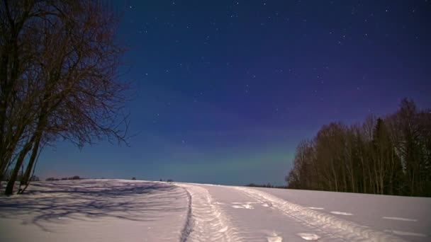 Skandinavya Parlak Bir Gecede Mavi Gökyüzünde Uçan Yıldızların Hızlandırılmış Görüntüsü — Stok video