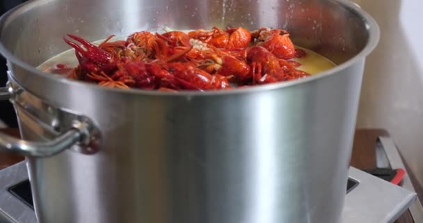 Red Fresh Lobster Crayfish Seafood Soup Stainless Steel Pot Ready — Stock video