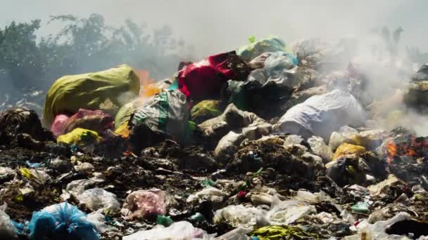 Air Pollution Illegal Burning Pile Plastic Trash Landfill Vietnam — стоковое видео