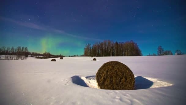 Вид Заснеженного Зимнего Поля Замерзшими Сенокосами Волшебной Aurora Borealis Ярком — стоковое видео