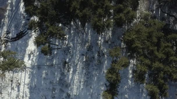 Flygdrönare Utsikt Över Skogen Solig Dag Landsbygden Bayern Tyskland Skruvmejsel — Stockvideo