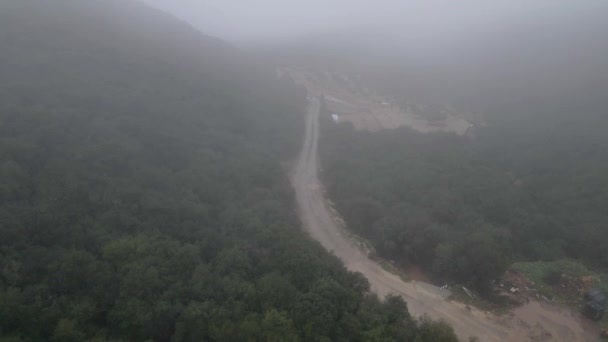 Vista Aérea Del Dron Cinematográfico Camino Amanecer Rodeado Arrozales Naturaleza — Vídeo de stock