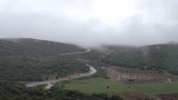 Повітряний Вид Туманного Лісу Ізраїлі Катцір Краєвид Ґрунтову Дорогу Пролягає — стокове відео