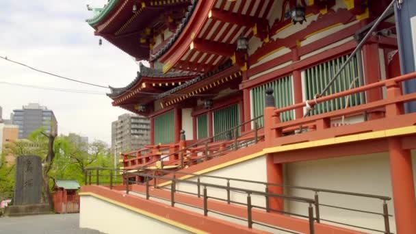Ueno Tokyo Japão Por Volta Abril 2020 Pombos Voando Redor — Vídeo de Stock