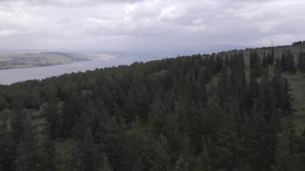 Izrael Golan Heights Táj Levegőből Drónnal Tavakkal Fenyőerdőkkel Sűrű Esőerdők — Stock videók