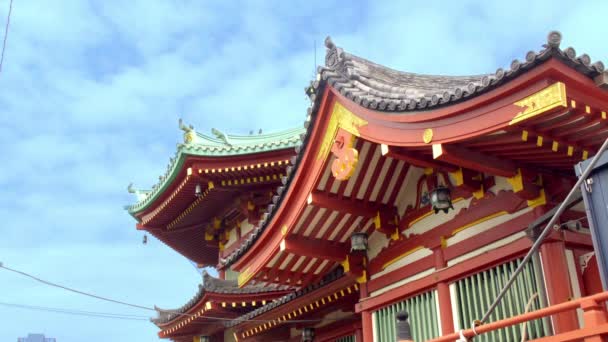 Ueno Tokio Japan April 2020 Weiden Die Wind Der Nähe — Stockvideo