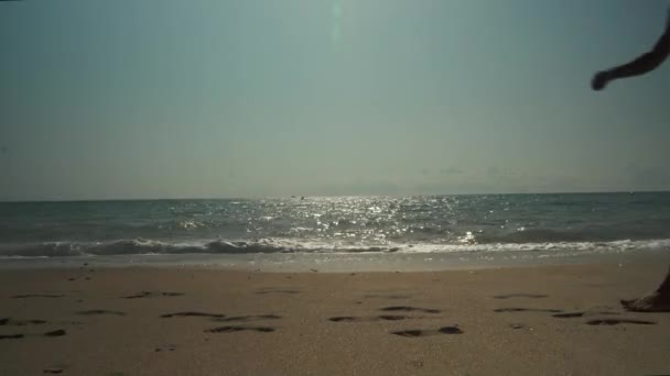 View Empty Tropical Beach Woman Bikini Walks — Stok video