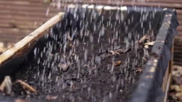 Recipiente Madera Con Compost Regado Con Una Regadera — Vídeos de Stock