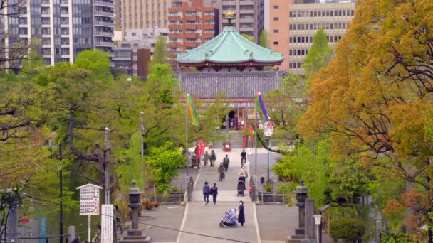 Ueno Tokyo Japan 2020 Április Körül Emberek Sétálnak Bélelt Első — Stock videók