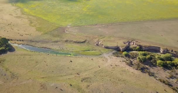 Creek Flowing Lush Fields Countryside Village Sunny Day Aerial Drone — стоковое видео