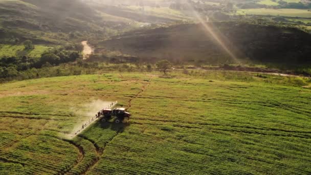 Tractor Spraying Soybean Plantation Brazil Sunset — стоковое видео