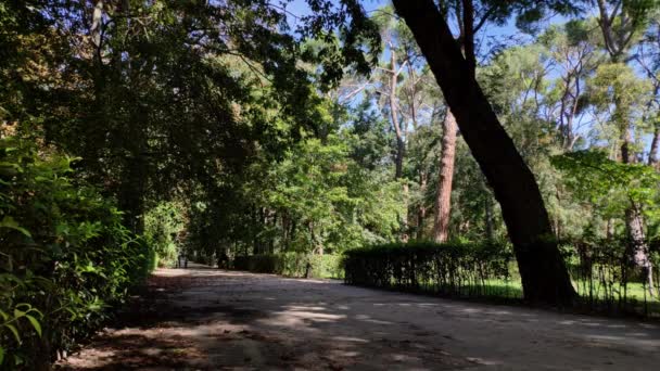 Homokséta Bokrok Magas Fák Között Retiro Parkban Madird Egy Napsütéses — Stock videók