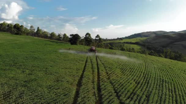 Tractor Spraying Soybean Plantation Brazil — Vídeos de Stock