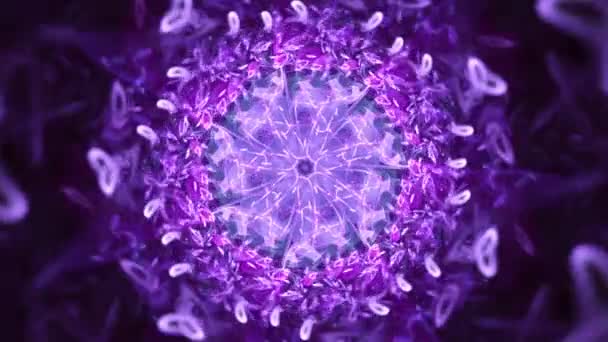 Absztrakt Virágfraktál Kaleidoszkóp Amethyst Crystal Zökkenőmentes Hurok Zene Színes Kaotikus — Stock videók