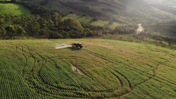 Tractor Spraying Soybean Plantation Brazil — Vídeos de Stock