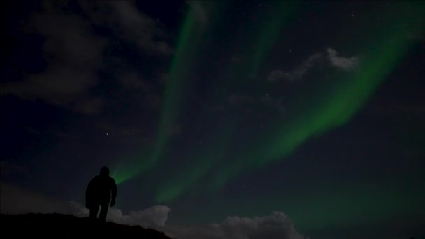 Silhouette Persona Que Mira Luces Boreales Mágicas Cielo Durante Noche — Vídeos de Stock