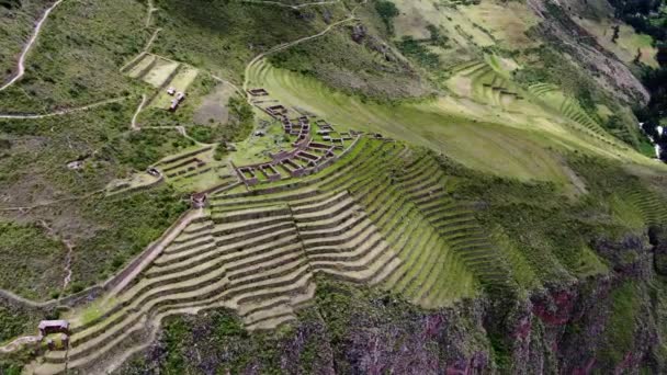 Rovine Inca Hillside Terrazze Curve Che Affacciano Pisac Old Town — Video Stock