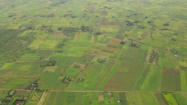 Paisagem Rural Terras Agrícolas Loitokitok Quênia Vista Aérea Plantações Verdes — Vídeo de Stock