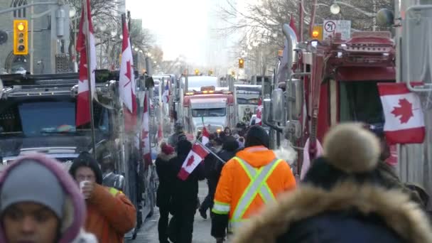 Long Line People Protesting Streets Trucks Canadian Flags Blocked Street — стоковое видео
