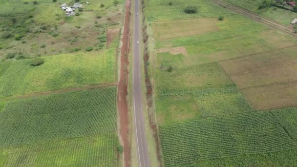 Szybki Samochód Przejeżdżający Przez Autostradę Przejeżdżając Przez Zielone Farmy Widok — Wideo stockowe