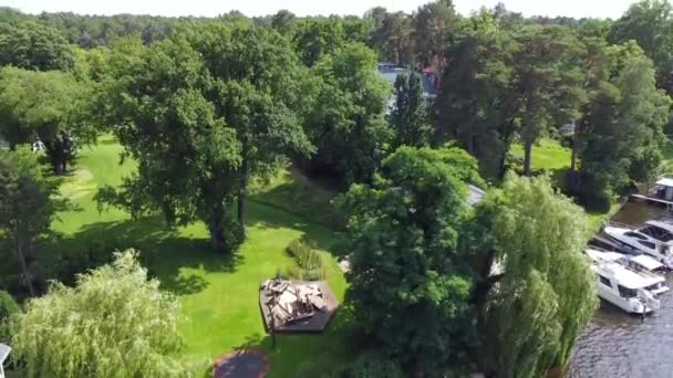 Wonderful Aerial Drone Flight Slowly Rise Drone Shot Woods River — Vídeos de Stock