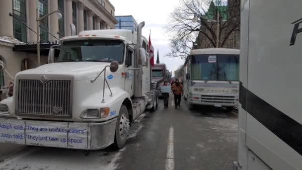 Camiones Estacionados Calle Ciudad Manifestantes Con Banderas Pancartas Convoy Libertad — Vídeo de stock