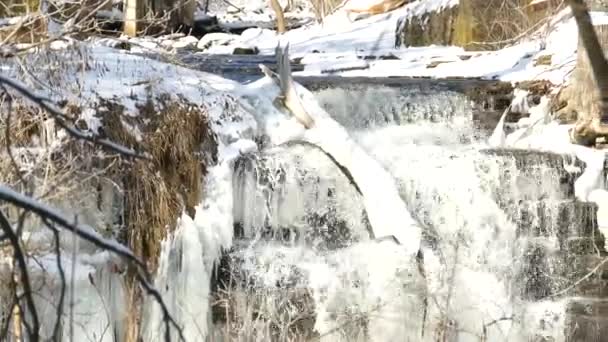 Panorama Suivre Ruisseau Eau Coulant Sur Cascade Gelée Escarpement Niagara — Video