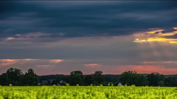 Statische Weergave Van Donkere Wolken Bewegen Schilderachtige Graslanden Met Ondergaande — Stockvideo