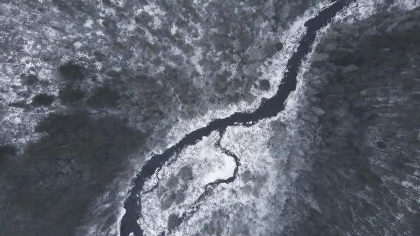 Pohled Ptačí Perspektivy Potok Protékající Borovým Lesem Během Zimní Sněhové — Stock video