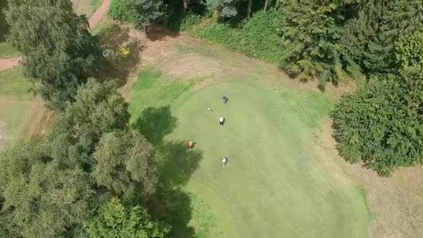 Golf Course Flyby Flyover Sätta — Stockvideo