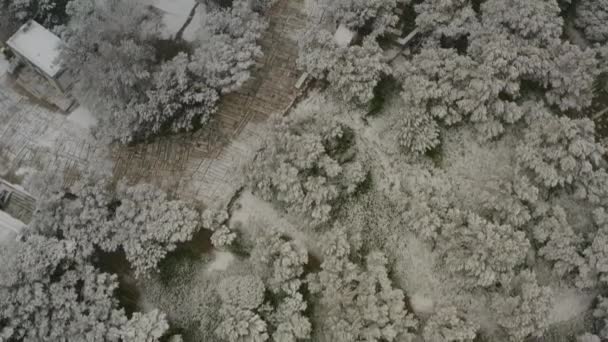 在一场暴风雪中 空中俯瞰着白雪覆盖的森林 向雅典的雅典卫城山飞去 无人驾驶飞机向天空飞去 — 图库视频影像