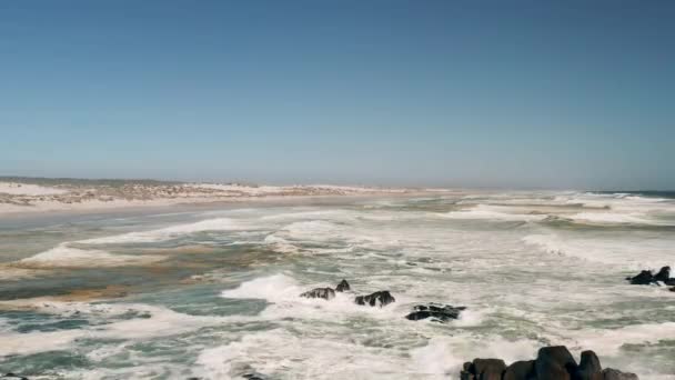 물결치는 파도가 연달아 바위와 웨스트 코스트 공원의 해변으로 남아프리카 공화국의 — 비디오